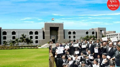 Lawyers protest in Gujarat High Court demanding proceedings in mother tongue