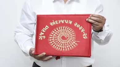 gujarat-budget-2025-know-what-is-the-speciality-of-red-bag-of-fm-kanu-desai