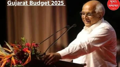 Gujarat Budget 2025: Two new expressways will be developed in the state, Saurashtra will benefit.