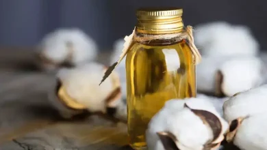 : Photo of cotton seed oil and groundnut oil bottles with price tags in a Gujarat market showing recent price hikes.