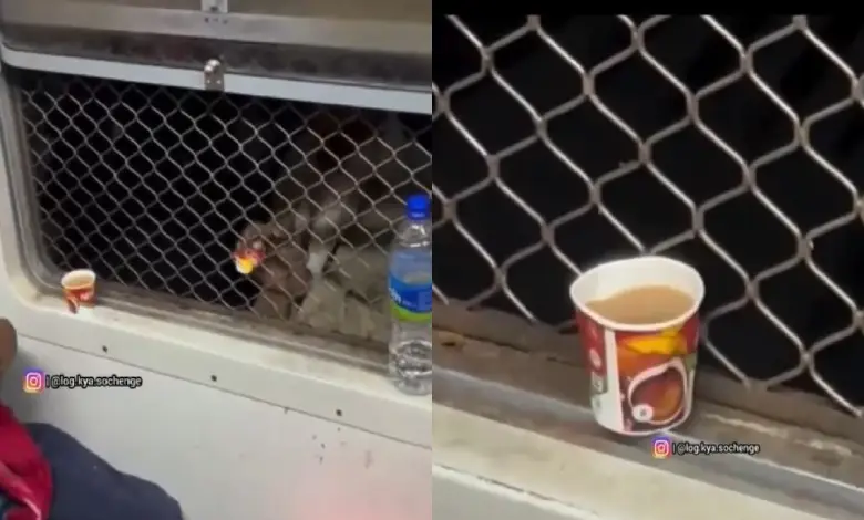 Gujarati tea vendor using bamboo pole to serve chai in moving local train, showcasing jugaad innovation.