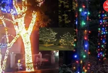 If you wrap colored lights around the trees