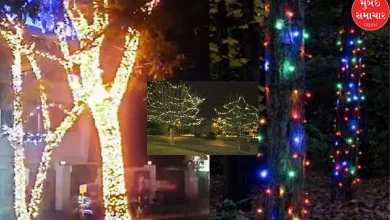 If you wrap colored lights around the trees