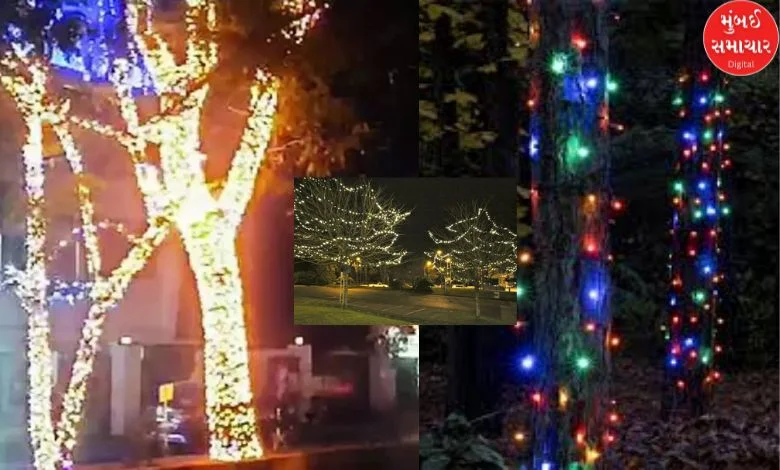 If you wrap colored lights around the trees