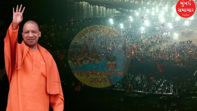 yogi adityanath monitors amrit snan of vasant panchami in mahakumbh