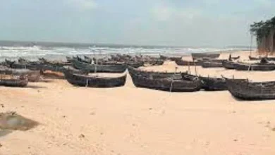 Amazing views on the coast of Odisha: Watch the viral video