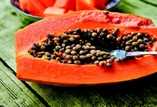 "Papaya seeds used for balancing diabetes and cholesterol naturally."