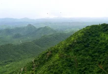 Chart comparing green cover areas where Rajasthan leads over Gujarat in forest cover statistics.