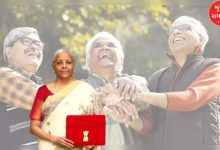 budget 2025 senior citizens tax benefits