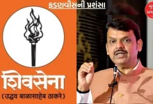 Shiv Sena (UBT) praises Fadnavis for 'taking strict steps to curb corruption'