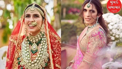 This is how Shloka Mehta of the Ambani family stole the limelight at the wedding of Chiranjeev of the Kapoor family...