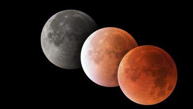 March 14, 2025 Total Lunar Eclipse Blood Moon