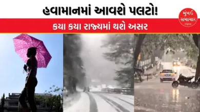 weather change to affect gujarat and other states ambalal patel