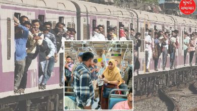 woman tc sets record with massive ticket checking in mumbai division