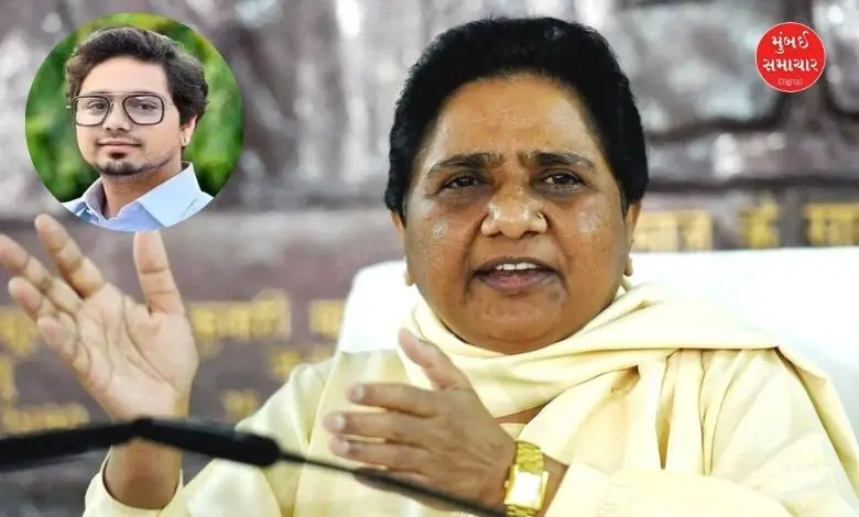 BSP chief Mayawati removes nephew Akash Anand from all party posts