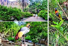 Exploring Palmitos Park Birds, Dolphins & Wildlife Adventures