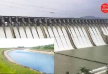 Gujarat Narmada water reaches Patan 2.02 lakh hectares area covered under irrigation