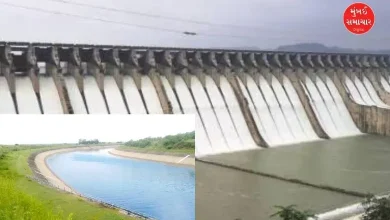 Gujarat Narmada water reaches Patan 2.02 lakh hectares area covered under irrigation