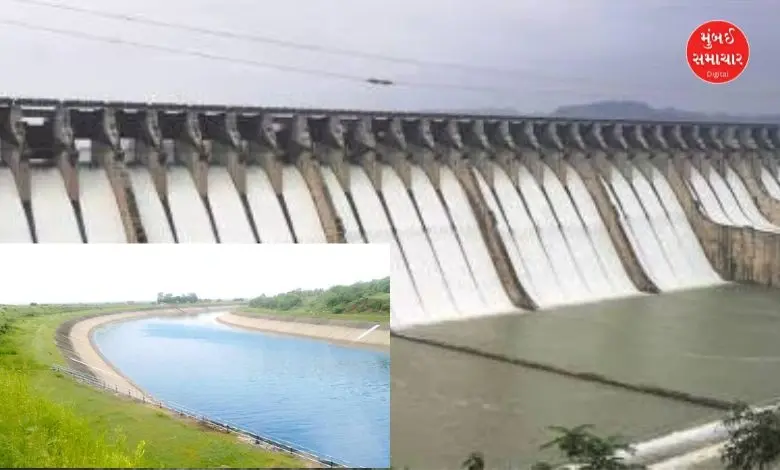 Gujarat Narmada water reaches Patan 2.02 lakh hectares area covered under irrigation