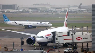 Flight operations at London's Heathrow Airport halted; decision taken due to this