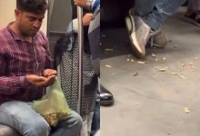 Man eats peanuts in metro and throws them in coach