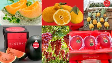 Most expensive fruits in the world