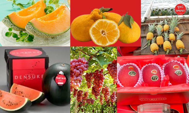 Most expensive fruits in the world