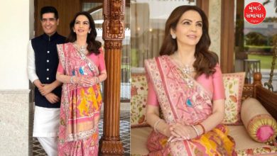 Nita Ambani's stunning saree look