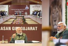 PM Modi announces Gujarat Gir Asiatic lion census National Wildlife Board meeting