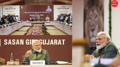 PM Modi announces Gujarat Gir Asiatic lion census National Wildlife Board meeting