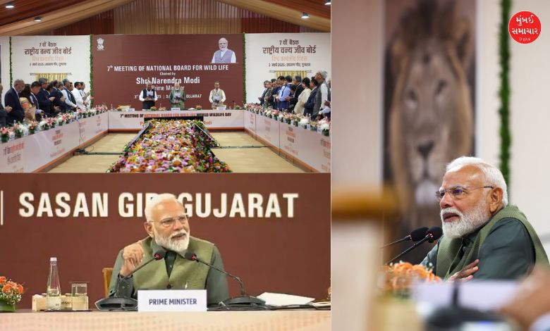 PM Modi announces Gujarat Gir Asiatic lion census National Wildlife Board meeting