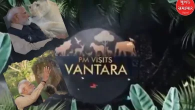 This is Anant Ambani's Animal Rescue Center Vanatara Zoo Video