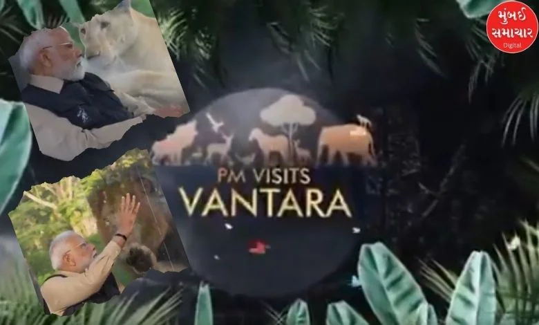 This is Anant Ambani's Animal Rescue Center Vanatara Zoo Video