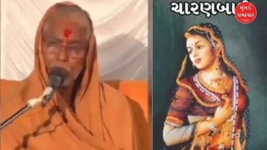 Swaminarayan Sadhu's controversial comment on Charanbai