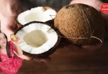 Why Should Women Not Break Coconuts in Worship? The Reason Explained!