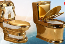 World’s Most Expensive Toilet Costs $2.6 Billion – Here’s Why!