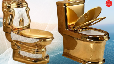 World’s Most Expensive Toilet Costs $2.6 Billion – Here’s Why!