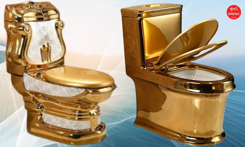 World’s Most Expensive Toilet Costs $2.6 Billion – Here’s Why!