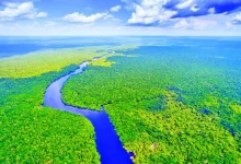 Oh… Really?! : There is not a single bridge on the Amazon River, which flows through nine countries!