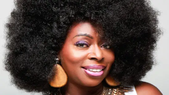 grammy-nominated singer angie stone dies in car accident