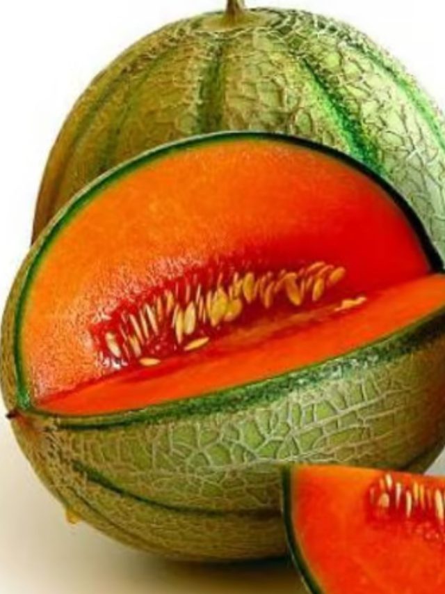 શકરટેટી(musk melon) ખરીદતા પહેલા વાંચો