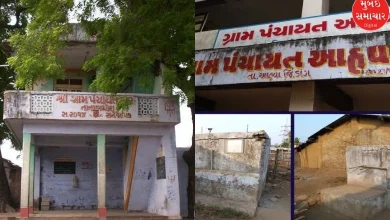 Elections 2025: When will the Gram Panchayat elections be held in Gujarat?