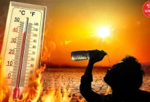 Heatwave will bring drought in coastal areas of Gujarat, predicts Meteorological Department