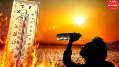 Heatwave will bring drought in coastal areas of Gujarat, predicts Meteorological Department