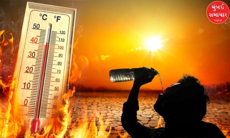 Heatwave will bring drought in coastal areas of Gujarat, predicts Meteorological Department