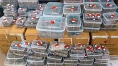 Ahmedabad Crime Branch cracks down on drug smuggling under guise of foreign toys