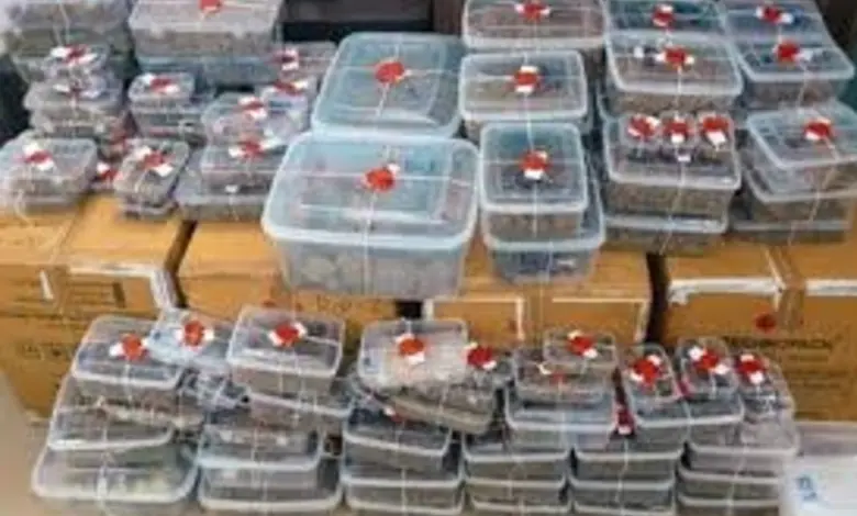 Ahmedabad Crime Branch cracks down on drug smuggling under guise of foreign toys