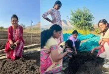 kavya dhobale's farming success story