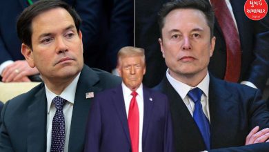 marco rubio and elon musk debate at white house