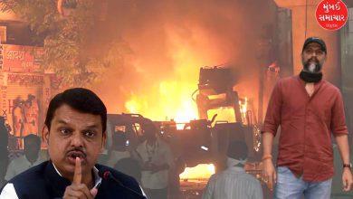 Nagpur violence seems pre-planned, film 'Chhawa' has inflamed people's emotions again: Fadnavis